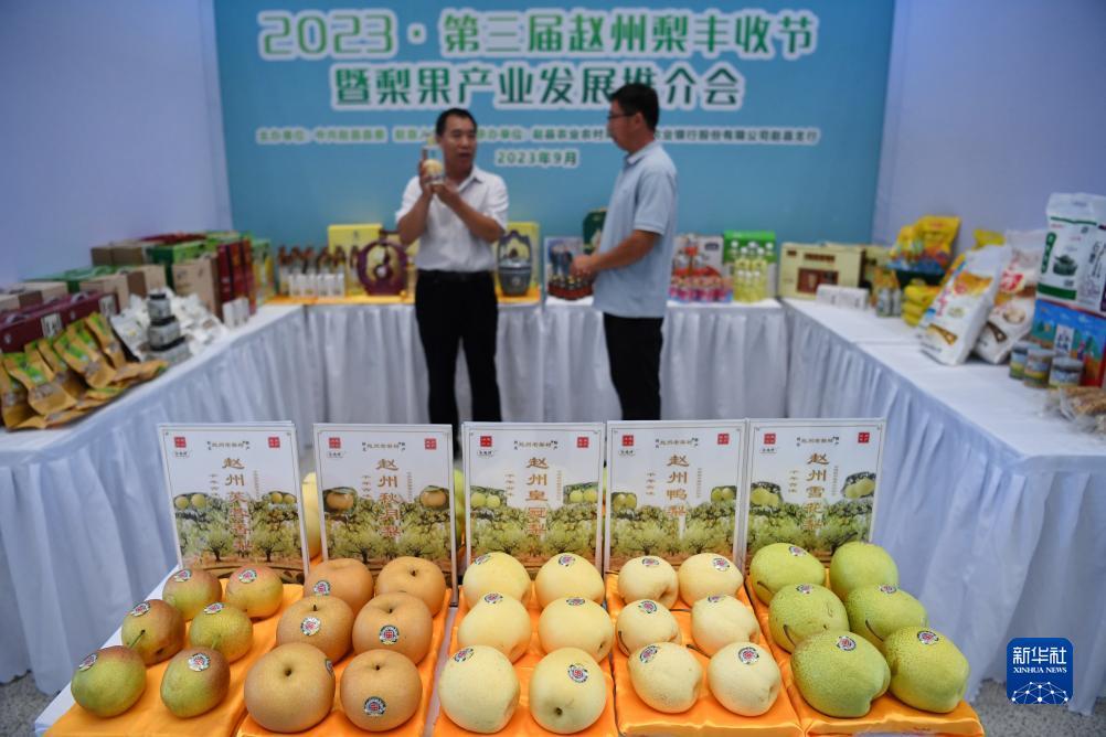 双色球走势图带连线
